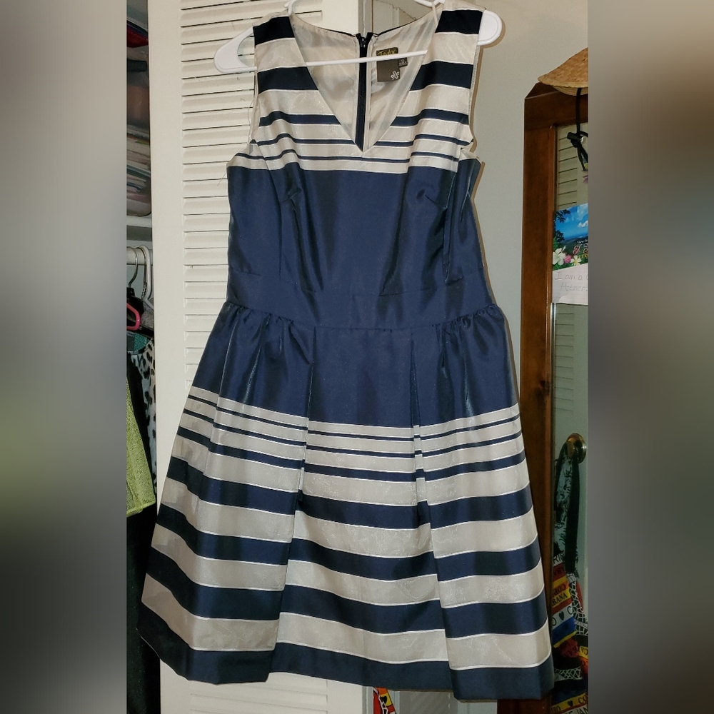 Taylor Blue and White A-line Midi Dress V-neck Sleeveless